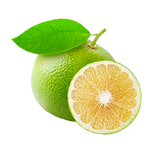 Citrus Juices Citrus Juices