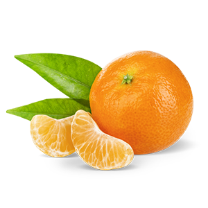 Citrus Juices